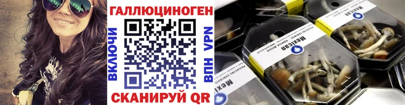 сайты даркнета какой сайт  Армавир  Галлюциногенные грибы ЛСД  KRAKEN рабочий сайт 