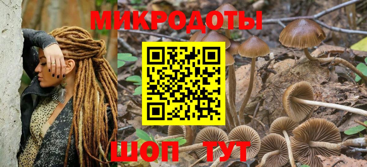 Псилоцибиновые грибы Cubensis  Вход с VPN  Армавир 