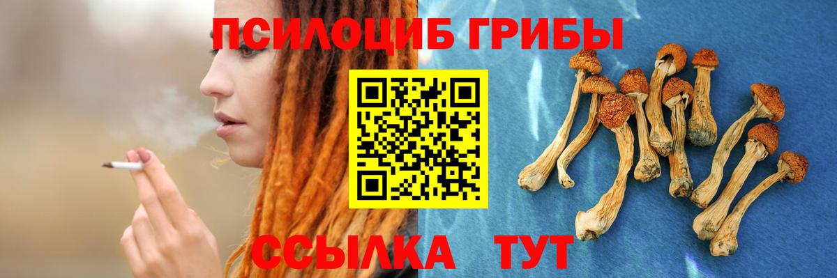 Галлюциногенные грибы прущие грибы Армавир